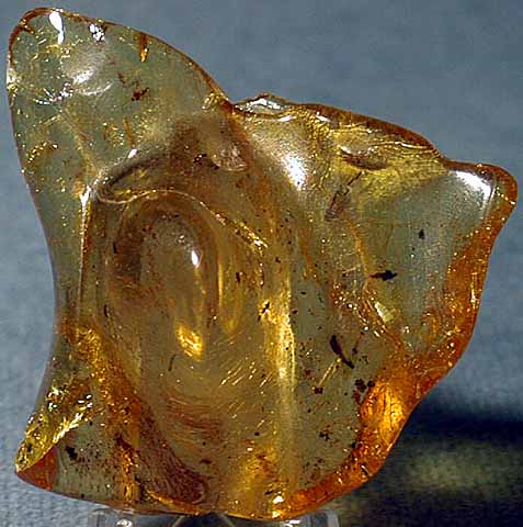 photo of a Amber with insect parts