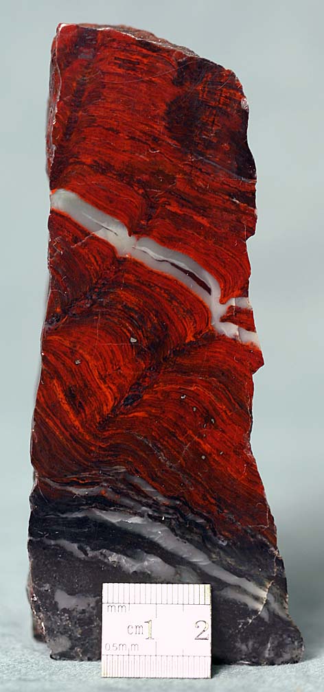 photo of a Iron Formation Stromatolite, Biwabik Formation, Minnesota