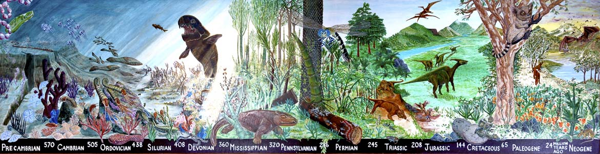 Life through time exhibit mural