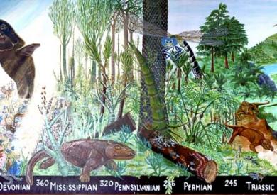 The illustrated natural history [microform]. Mammals; Natural history;  MammifÃ¨res; Sciences naturelles. ^^^jiO I.ITTM; Ci.VhAUO.-r;,i;Â«^u  il/iHor Mull(), .i. ^'â/â,,r, jW,,/,,;;,-. tlu'i' soft snlistai tlii'V arc  of an aijc t K'cs fur (lie