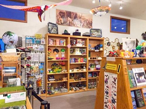 Inside the museum - store with shelves of things for sale