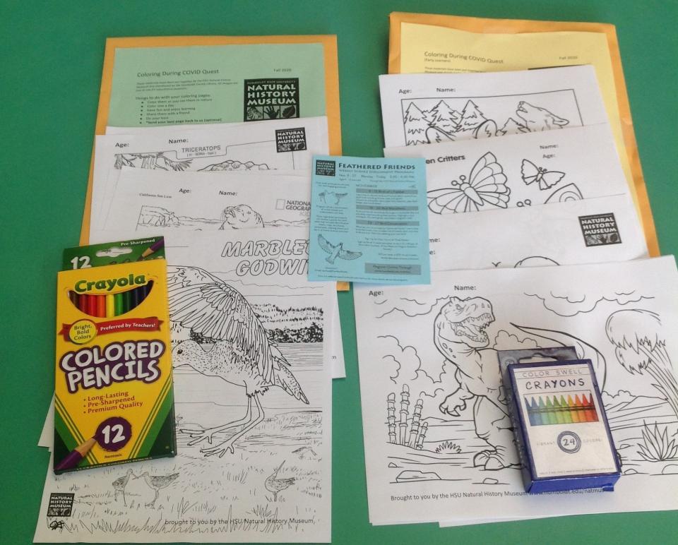 Image of coloring sheets with crayons and colored pencils 