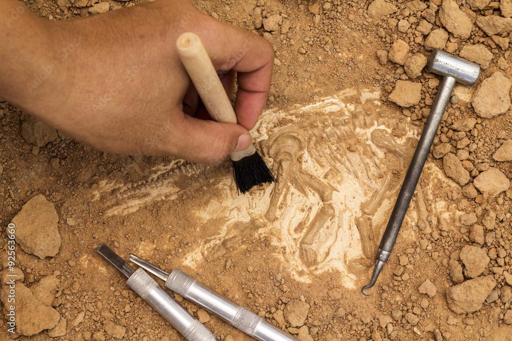 dig site