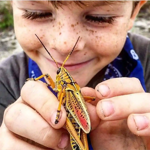 up close kid with winged bug