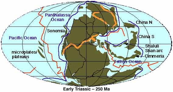 Early Triassic Plate Tectonic reconstruction map