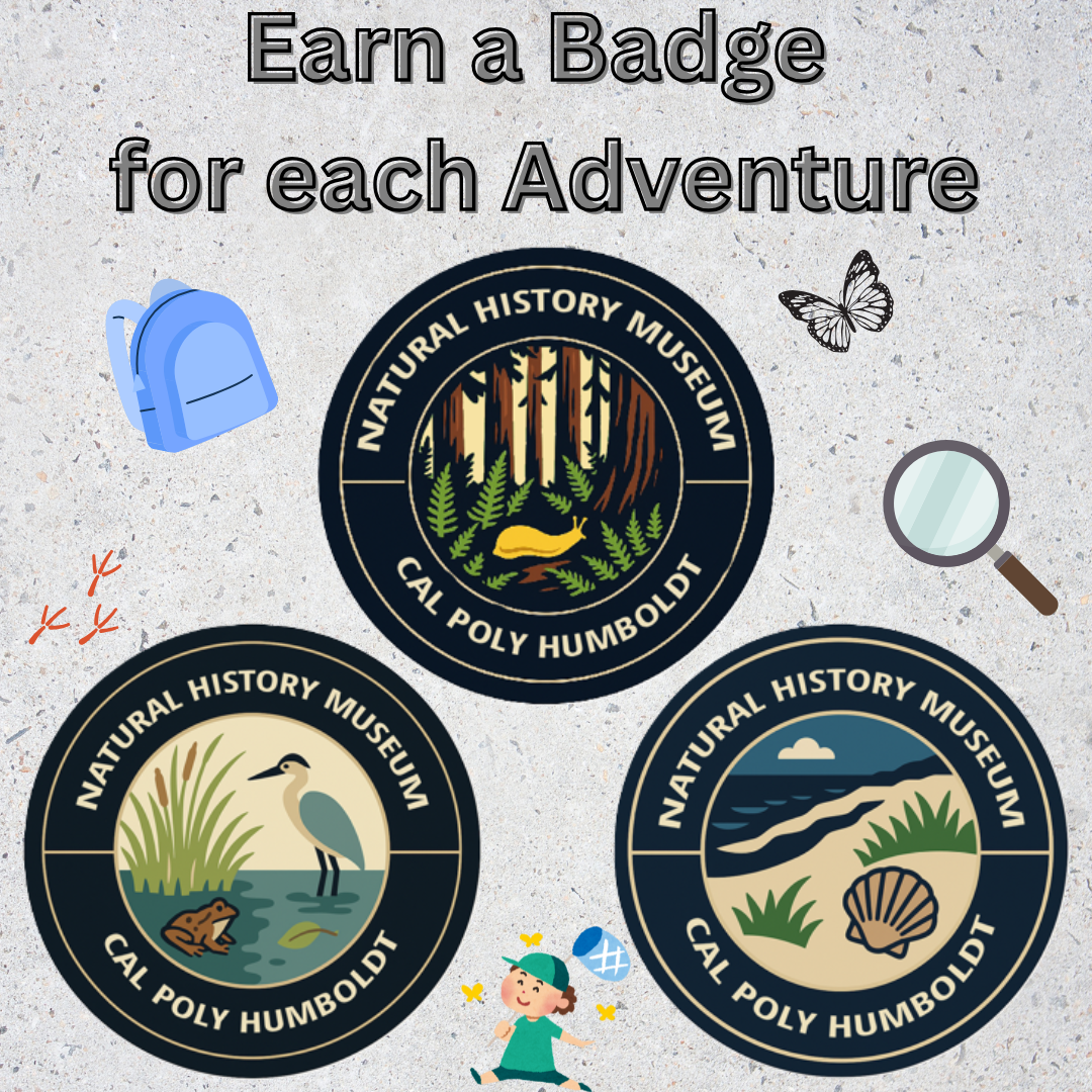 Picture showing each of the three badges that can be earned - Marsh, Redwoods, Beach