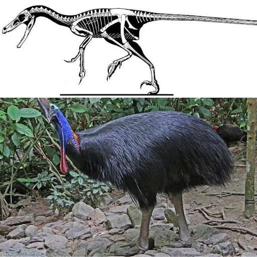 dino skeleton and bird