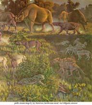 imagine icon - scena Oligocenului