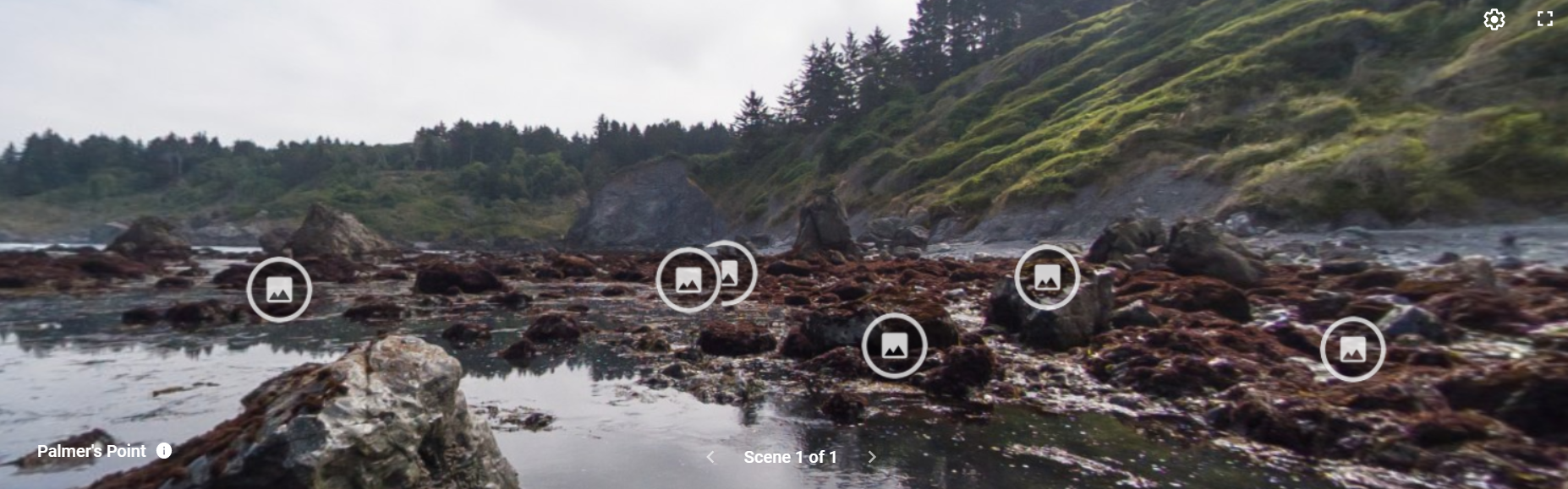 Image of Plamer's Point Virtual Tidepool