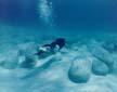 Diver looking for Stromatolites