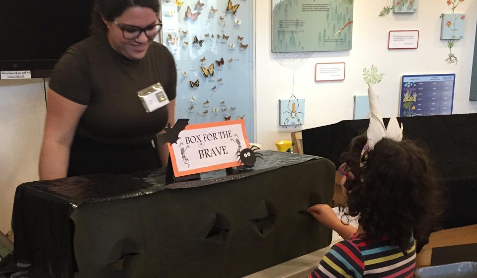 Child reaches into "Box for the Brave" 