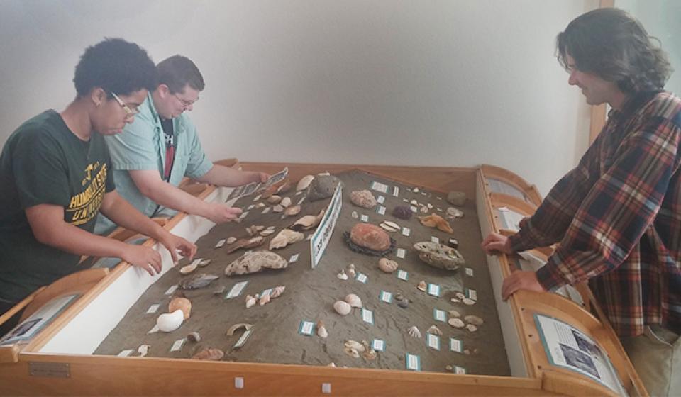 Students putting a case together at the museum