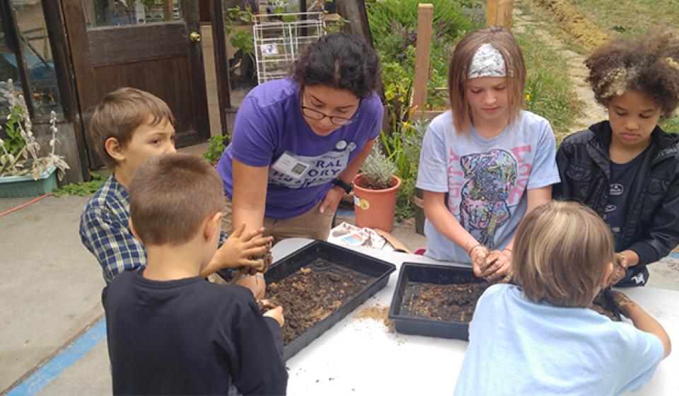 Tina Llopis working with NHM Summer Youth Day Campers